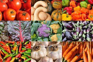 Farmer's Market Veggie Collage