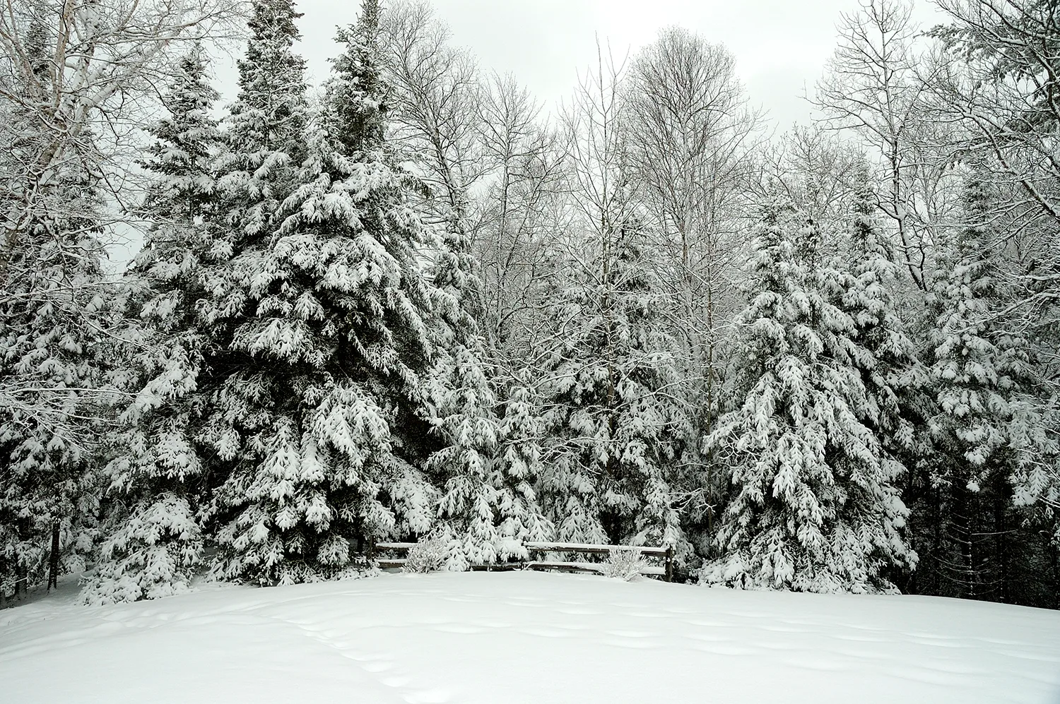 Blanket of snow