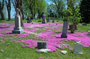 Cemetery in Spring