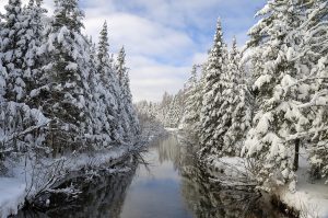 Lost Creek in Winter