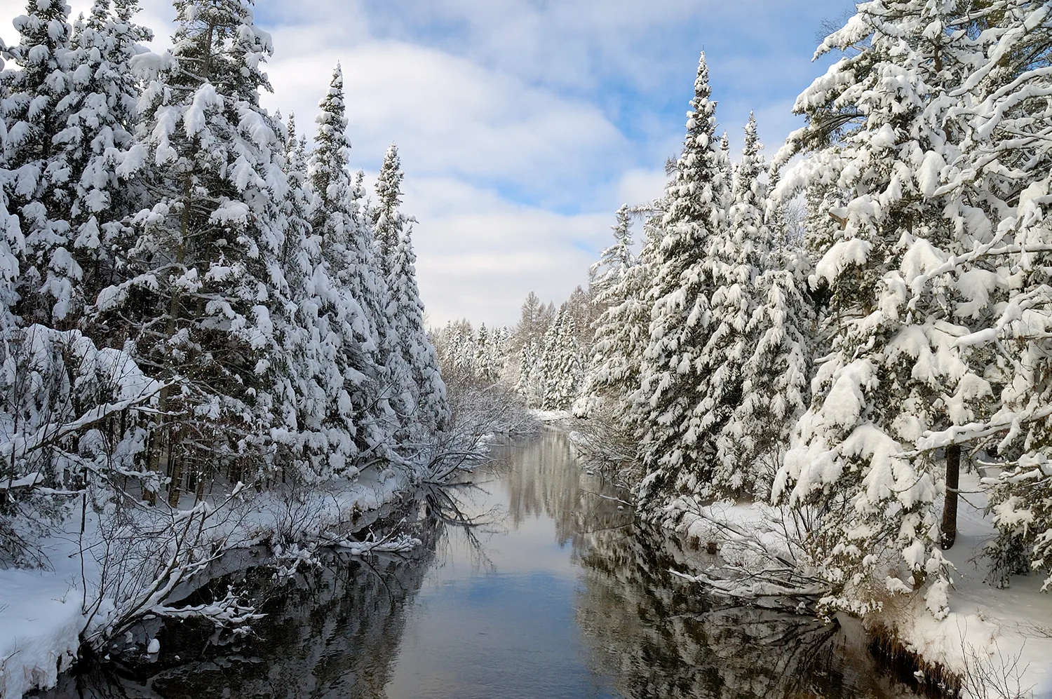 Lost Creek in Winter