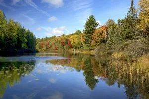 Lost Creek with Fall Colors