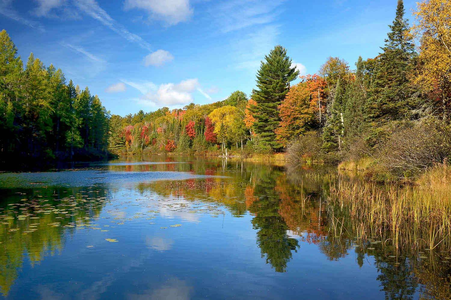 Lost Creek with Fall Colors