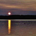 Sunset with Loon on Batchewaung Lake