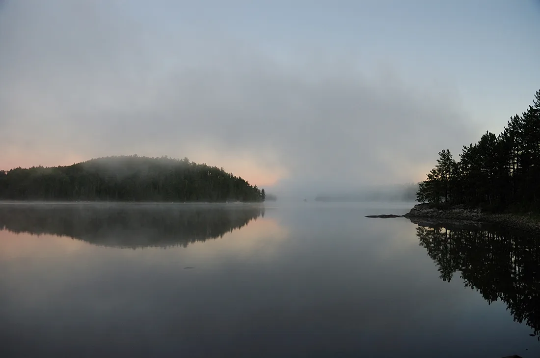 Misty Morning