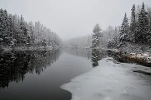 Lost Creek in Winter Fog