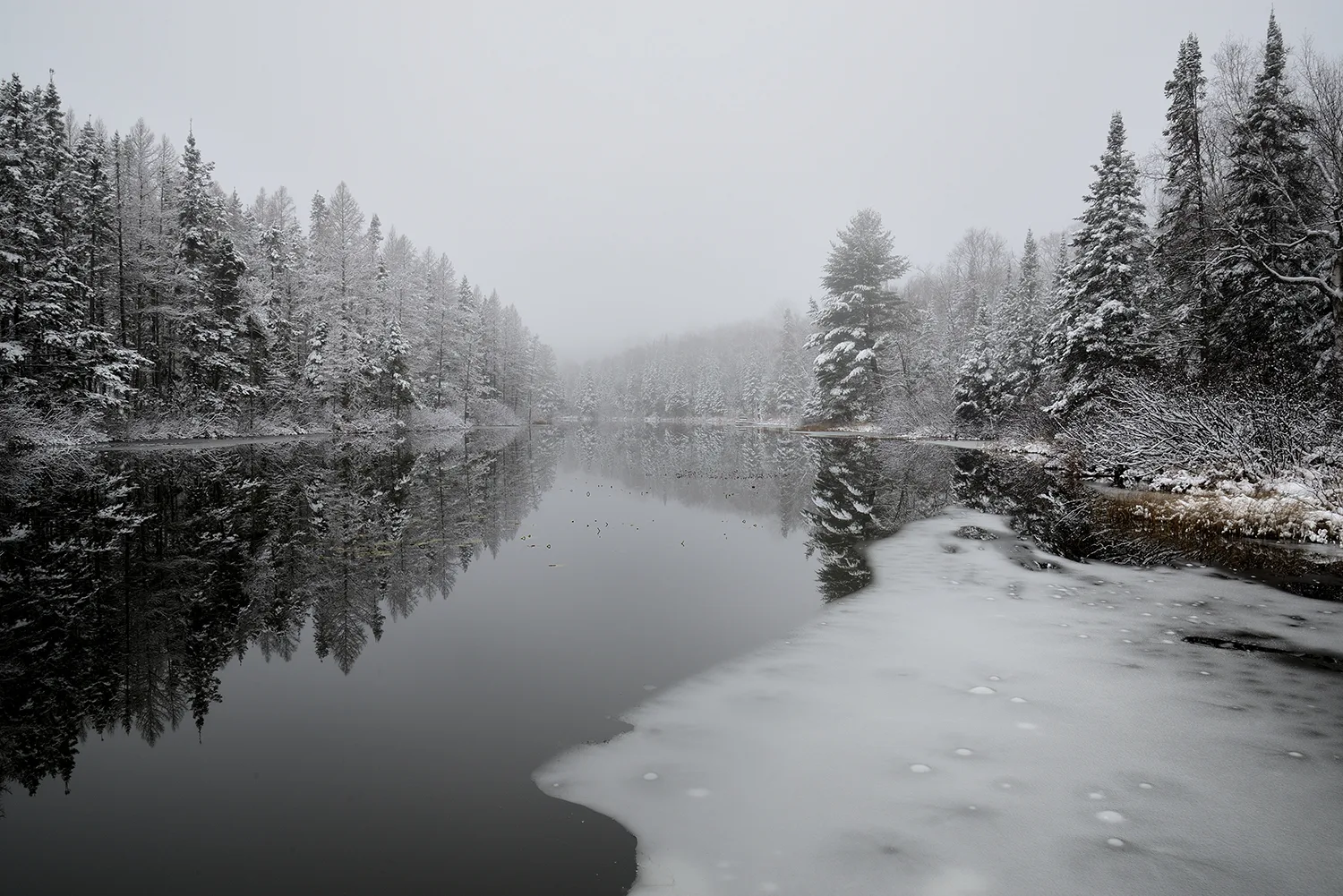 Lost Creek in Winter Fog