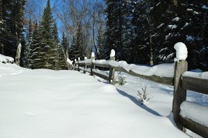 Snow capped Fence Posts